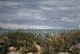 Painting--Oil-ImpressionismOBX II