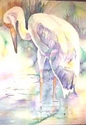 Siberian%20Crane (thumbnail)