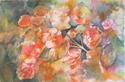 Begonias (thumbnail)