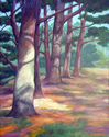 Painting--Acrylic-LandscapePines II