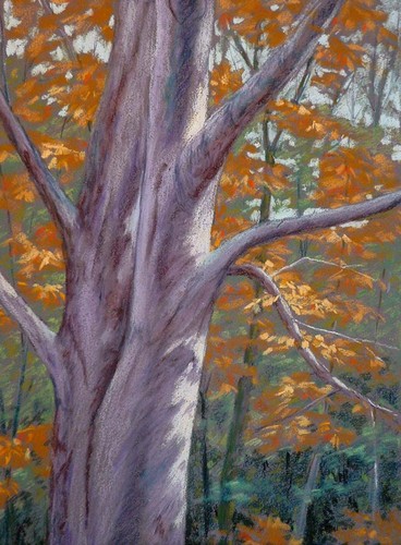 Painting-Landscape-Beech Tree