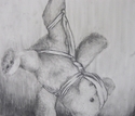 Hanging%20Bear (thumbnail)