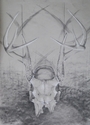 suspended%20antlers (thumbnail)