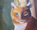 Rosie%27s%20cat (thumbnail)
