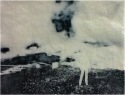 Pamela Hadley - Array, 2011
