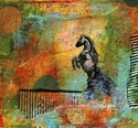 Equus