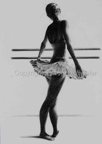 White%20Tutu%20I (large view)