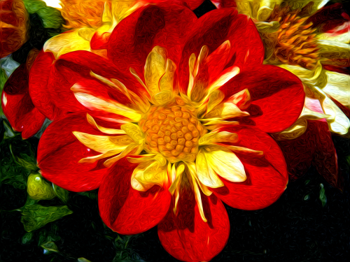 Radiant%20Sunshine (large view)