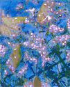 Digital Art--Photo Manipulation-AbstractPink flowers in a pond