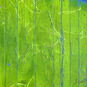 Digital Art-Light green pine needles