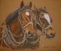 Pat Stoddard Aragon - Woody's Team