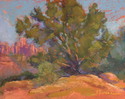 Painting--Pastels-GenreSouthwest Pine #1