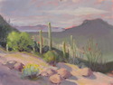 Painting--Oil-SouthwesternLooking North