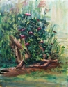 Bee Balm