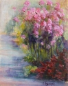 Soft Focus