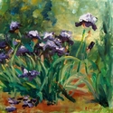 Katie's Irises