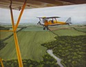Tiger Moth and Cub Tiger%20Moth%20and%20Cub (thumbnail)