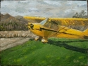 Cub at Gillespie Cub%20at%20Gillespie (thumbnail)