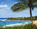 Sunny%20Day%20at%20Waimea%20Bay (thumbnail)