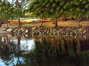 Haleiwa%20Afternoon%20Reflections%20-%20Matted%20mini-print (thumbnail)