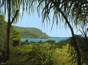 Hanalei%20View%20-%20Matted%20mini-print (thumbnail)
