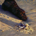Sunrise%20Sandcrab (thumbnail)