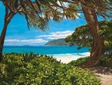 Lovely%20Laie%20Beach%20-%20Matted%20mini-print (thumbnail)
