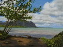 Kahalu%27u%20Beachside (thumbnail)