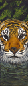 Le Tigre Le%20Tigre (thumbnail)