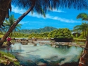 Shady%20Loko%20Ea%20Pond%20-%20Matted%20mini-print (thumbnail)