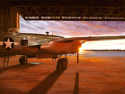 Yankee Warrior Sunrise Yankee%20Warrior%20Sunrise (thumbnail)