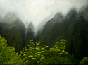Ko%27olau%20Mist%20-%20Matted%20Mini-print (thumbnail)