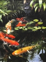 Suzy%27s%20Pond%20-%20Matted%20mini-print (thumbnail)