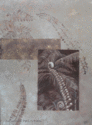 Fern Fern (thumbnail)