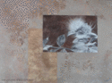 Ohia Ohia (thumbnail)