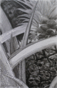 Pineapple (thumbnail)