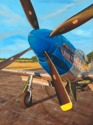 Petie 2nd at Rest Petie%202nd%20at%20Rest (thumbnail)