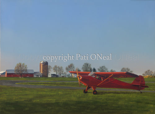 Taylorcraft%20Heading%20Home%20-%20Matted%20mini-print (large view)