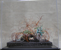 Fiber Art--Sculpture-AbstractSilent Voices. On the Mountain. / Voces Silenciosas. Sobre el Cerro No. 6
