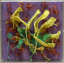 Fiber Art--Sculpture-AbstractSilent Voices. On the Mountain. No. 8 / Voces Silenciosas. Sobre el Cerro. No. 8.