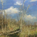 Don Park Lands Landscape #1