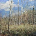 Don Park Lands Landscape #2