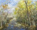 Don Park Lands Landscape #3