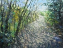 Don Park Lands Landscape #4