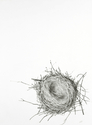 Drawing--Paper-BotanicalNest