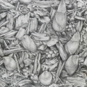 Drawing--Paper-BotanicalHosta Garden #1