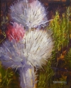 Painting--Oil-FloralBloomin' Thistles