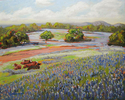 Painting--Oil-LandscapeTexas Blues