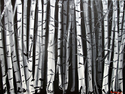 B%26W%20Birch%20Trees (thumbnail)