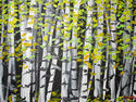 Birch%20Trees%20%231 (thumbnail)